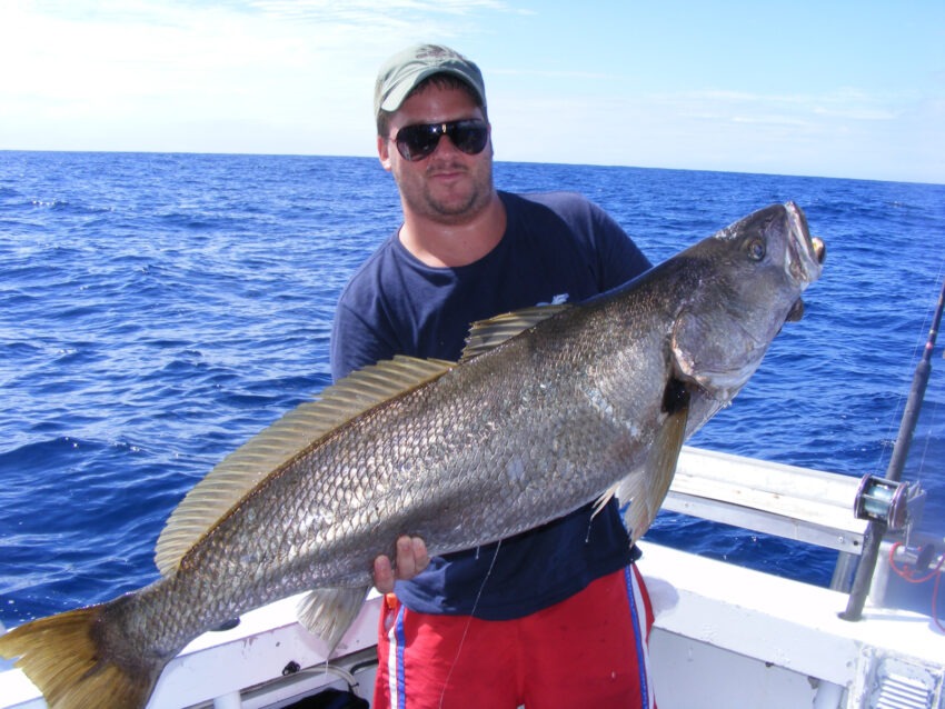 Tweed Heads Fishing Charters | Deep Sea Fishing | Reef and Game