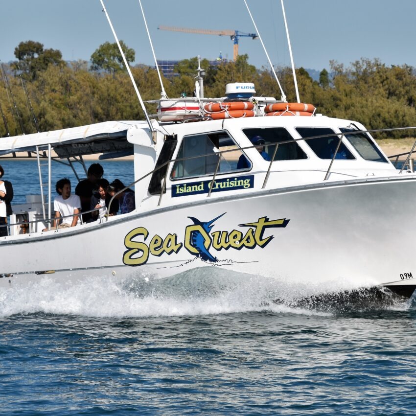 Deep Sea Fishing Charters Surfers Paradise Gold coast fishing