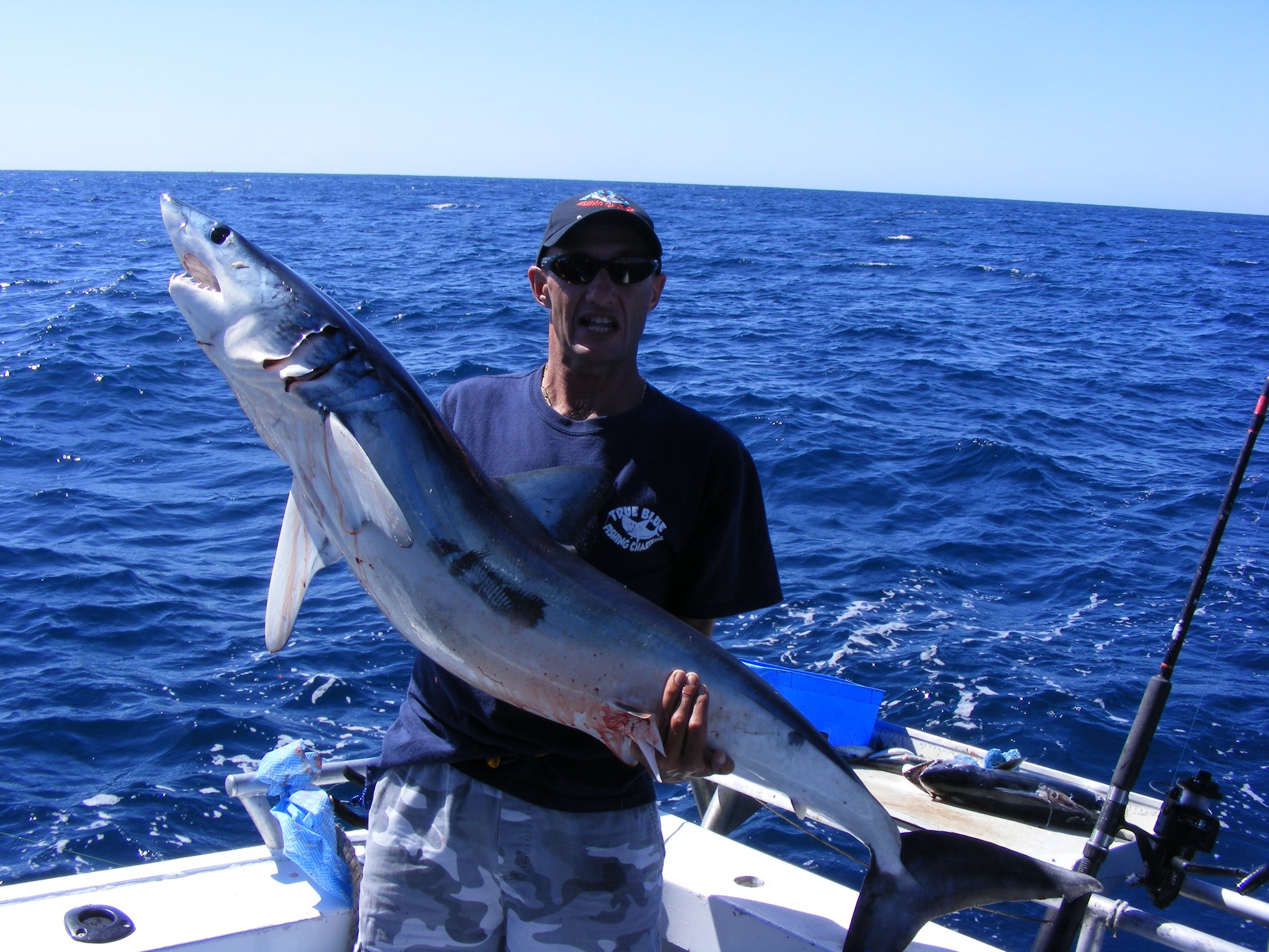 Shark Fishing Gold Coast - Gold Coast Fishing Charters